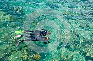 Snorkelers, Great Barrier Reef, Australia