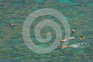Snorkelers over coral reef in shallow tropical bay