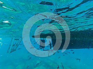 Snorkeling from a boat a coral reef