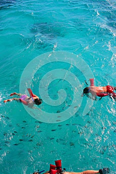 Snorkeling in Caribbean