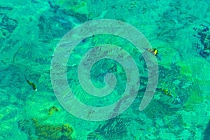 Snorkeling in clear turquoise water with underwater fish viewing Thailand