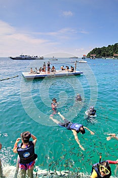 Snorkeling at Coral Beach