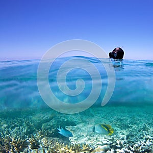 Snorkeling on coral reef