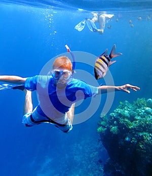 Snorkeling with the fishes