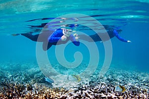 Snorkeling on Great Barrier Reef