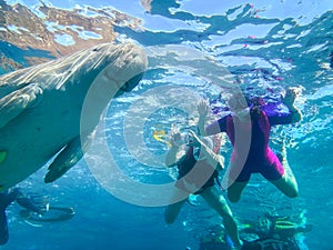 Snorkeling in Marsa Alam, Egypt. Dugong Dugon