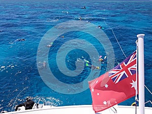 Snorkeling in ocean, people float in sea of reef