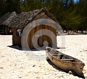 Snorkeling office