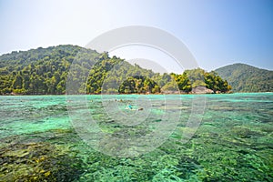 Snorkeling point with beautiful coralscape at Surin national par