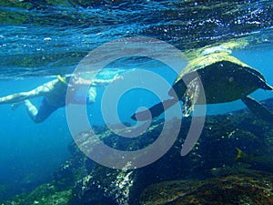 Snorkeling with a sea turtle