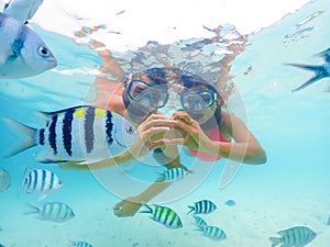 snorkeling trip at Samaesan Thailand dive underwater with fishes in the coral reef sea pool