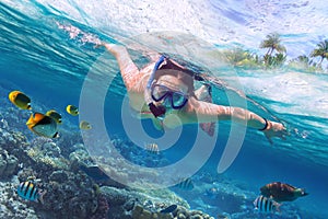 Snorkeling in the tropical sea