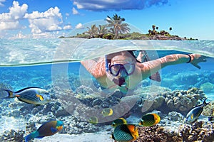 Snorkeling in the tropical water