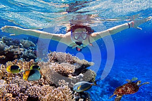 Snorkeling in the tropical water of Egypt