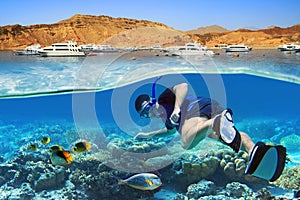 Snorkeling in the tropical water of Red Sea