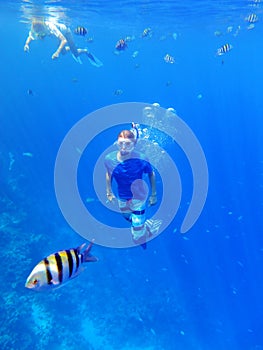 Snorkeling underwater