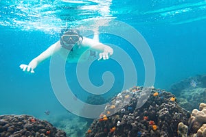 Snorkeling underwater, active travels, snorkeler watching corals, swimming and diving