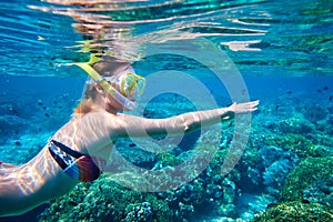 Snorkeling woman above the coral reef.