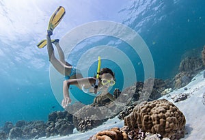 Snorkeling photo