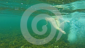 Snorkeller exploring the reefs around Rottnest Island