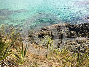 Snorkeller in Matai Bay near Mangonui, Northland, New Zealand