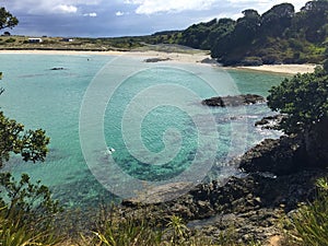 Snorkeller in Matai Bay near Mangonui, Northland, New Zealand