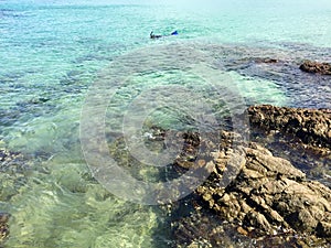 Snorkeller in Matai Bay near Mangonui, Northland, New Zealand photo