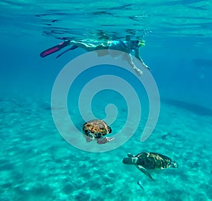 Snorkelling around Westpunt with turtles