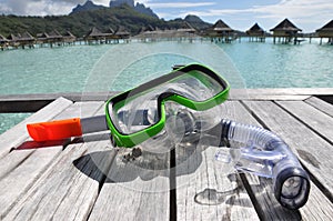 Snorkle and Mask