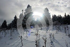 Winter nature view somewhere in Slovakia,