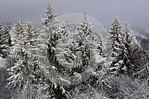 Pohľad na zimnú prírodu niekde na Slovensku,