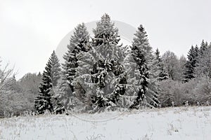 Zimní pohled do přírody někde na Slovensku,