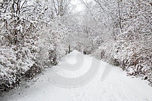 Snow alley