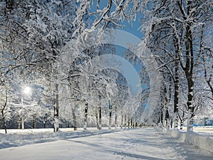 The snow alley of the city park with illumination at night after heavy snowfall. Winter city landscape. Fluffy snow.