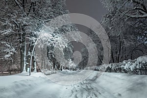 The snow alley of the city park with illumination at night after heavy snowfall. Winter city landscape. Fluffy snow.