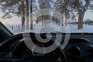 Snow alley of trees view from the car