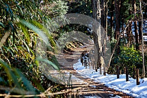 Snow along the hiking path