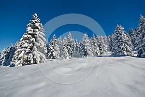 Snow in alps