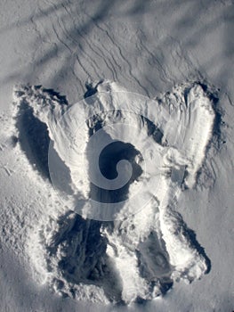 Snow Angel