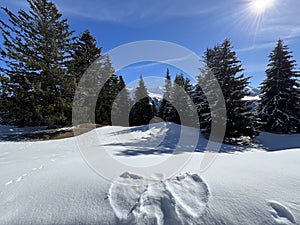 Snow angel on a fresh winter blanket in the Swiss Alps and above the winter resorts