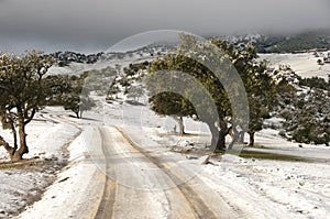 Snow in the Atlas Mountains - Morocco