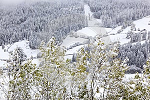 Snow in atumn