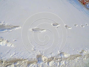 Snow background texture footprints