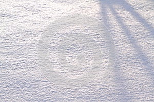 Snow background with tree shadow