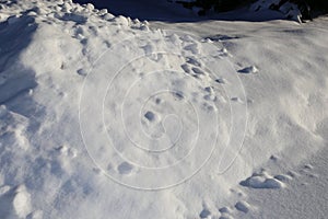 Snow bank- white texture of real snow for winter back grounds