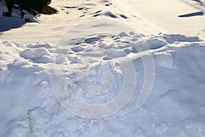 Snow bank- white texture of real snow for winter back grounds photo