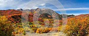 Snow basin landscape in Utah. Brilliant fall foliage around Mt Ogden peaks