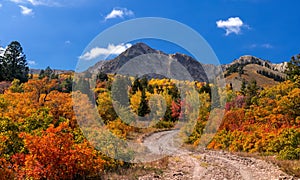 Snow basin recreation area, with colorful fall foliage in foreground and Mt Ogden peak in the background