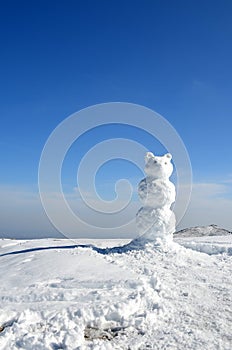 Snow bear and blue sky