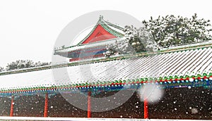 Snow in Beijing\'s Temple of Heaven Park